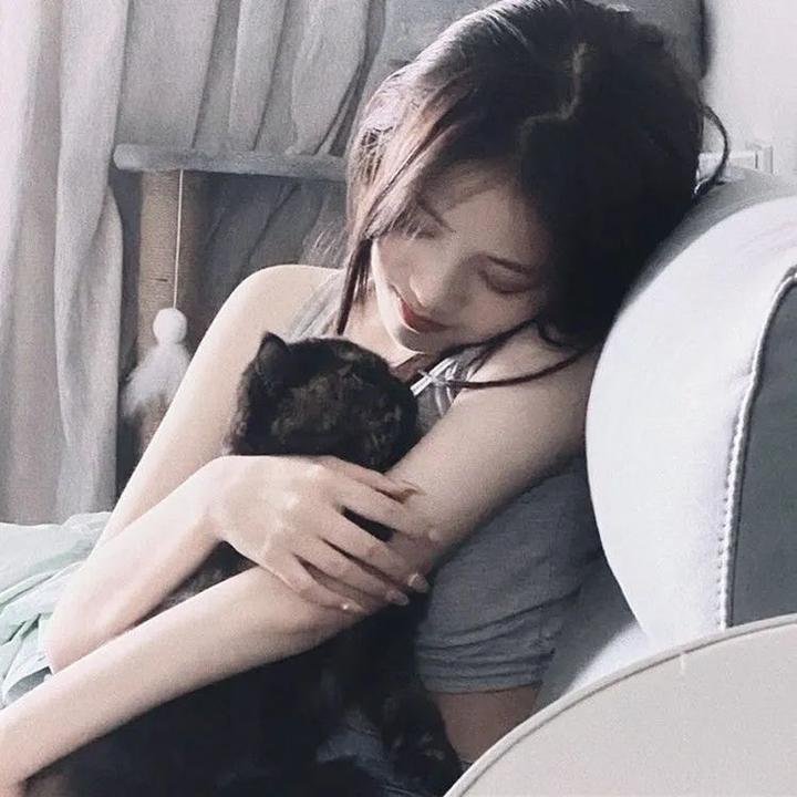 新不了情